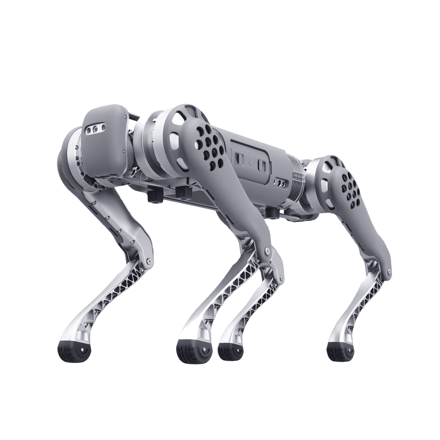 38196d0f1b62279f95737e0f892a2537